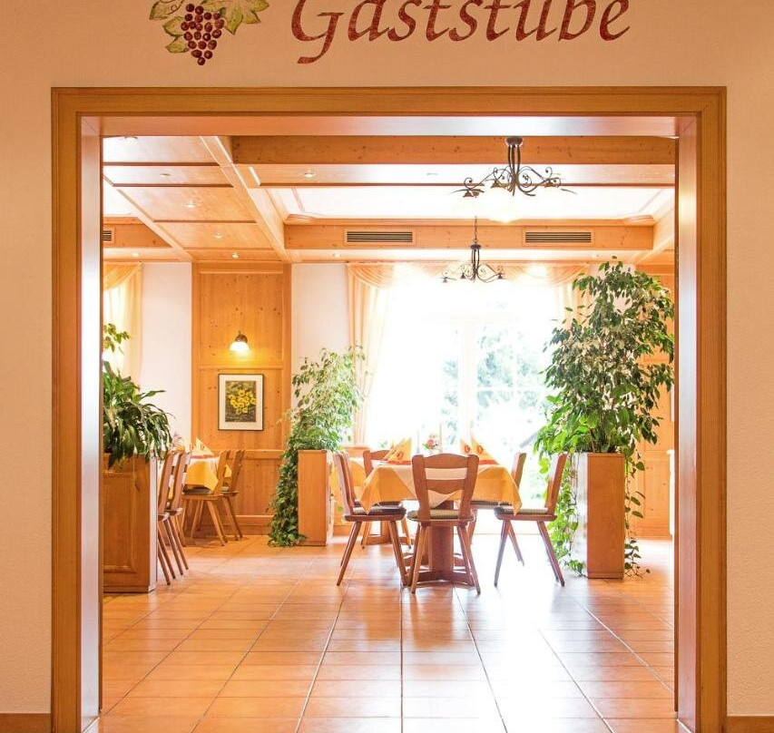 Uehlingen-Birkendorf酒店住宿-Gasthaus Kreuz