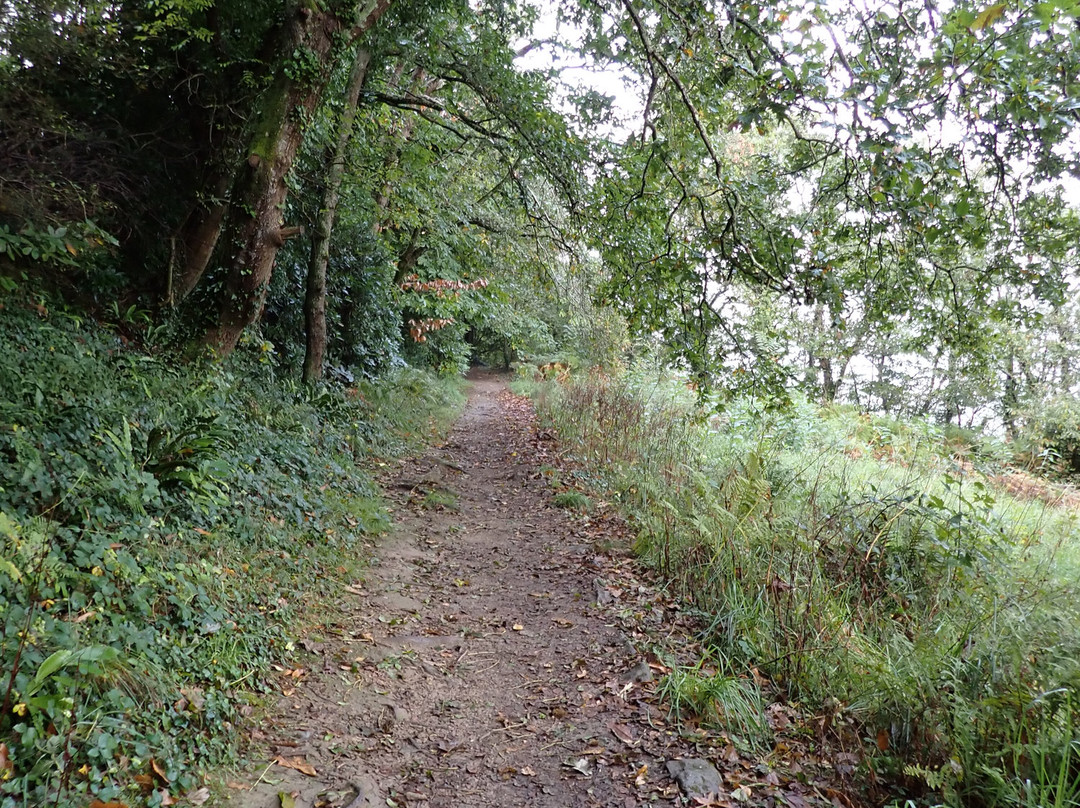 Sentier De Plomarc'h-Douarnenez必去景点