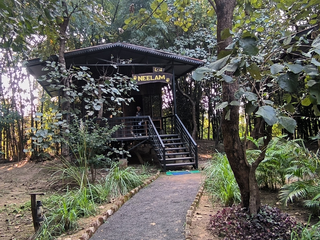 Mogli Resorts Kanha主图