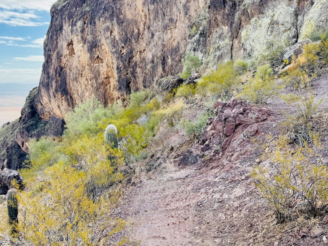 Picacho Peak State Park-Picacho必去景点