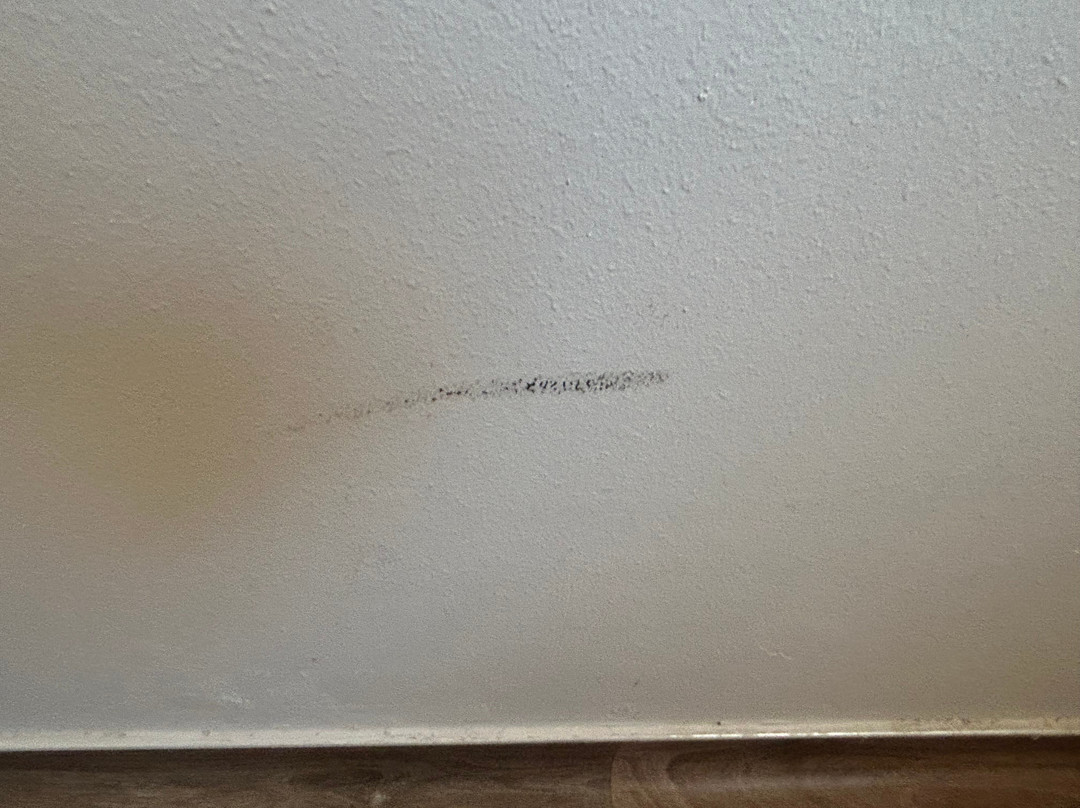 B&B HOTEL Saint-Étienne Monthieu主图