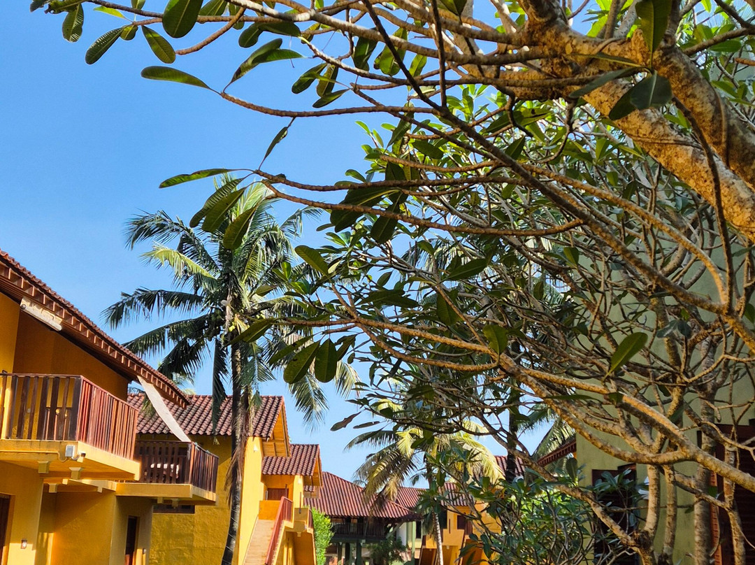 Muthumuni Ayurveda Beach Resort主图