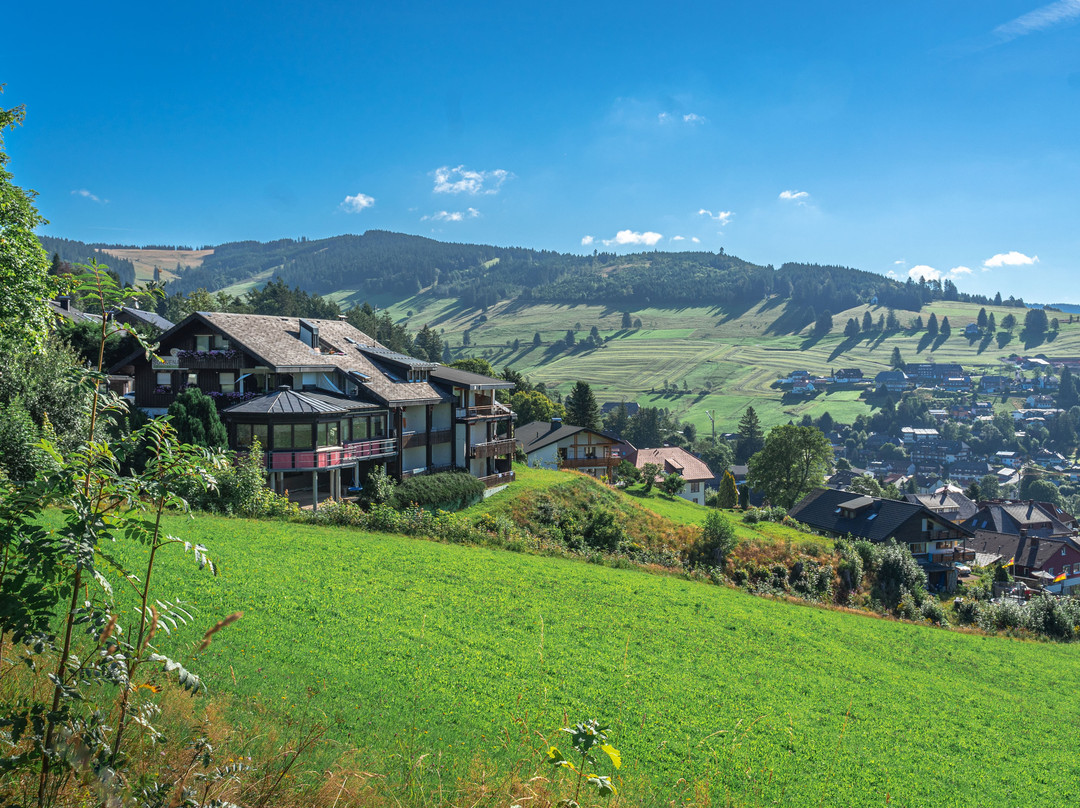 托特瑙酒店住宿-Bergseele Privat- & Retreathotel Schwarzwald