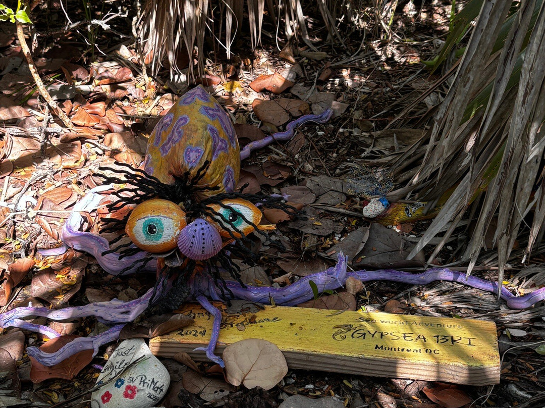 Minns Water Sports-George Town必去景点