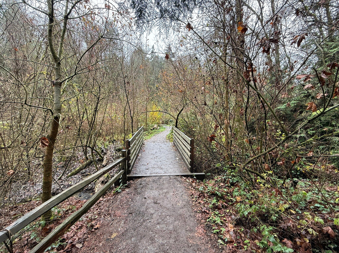 Tryon Creek State Natural Area景点图片