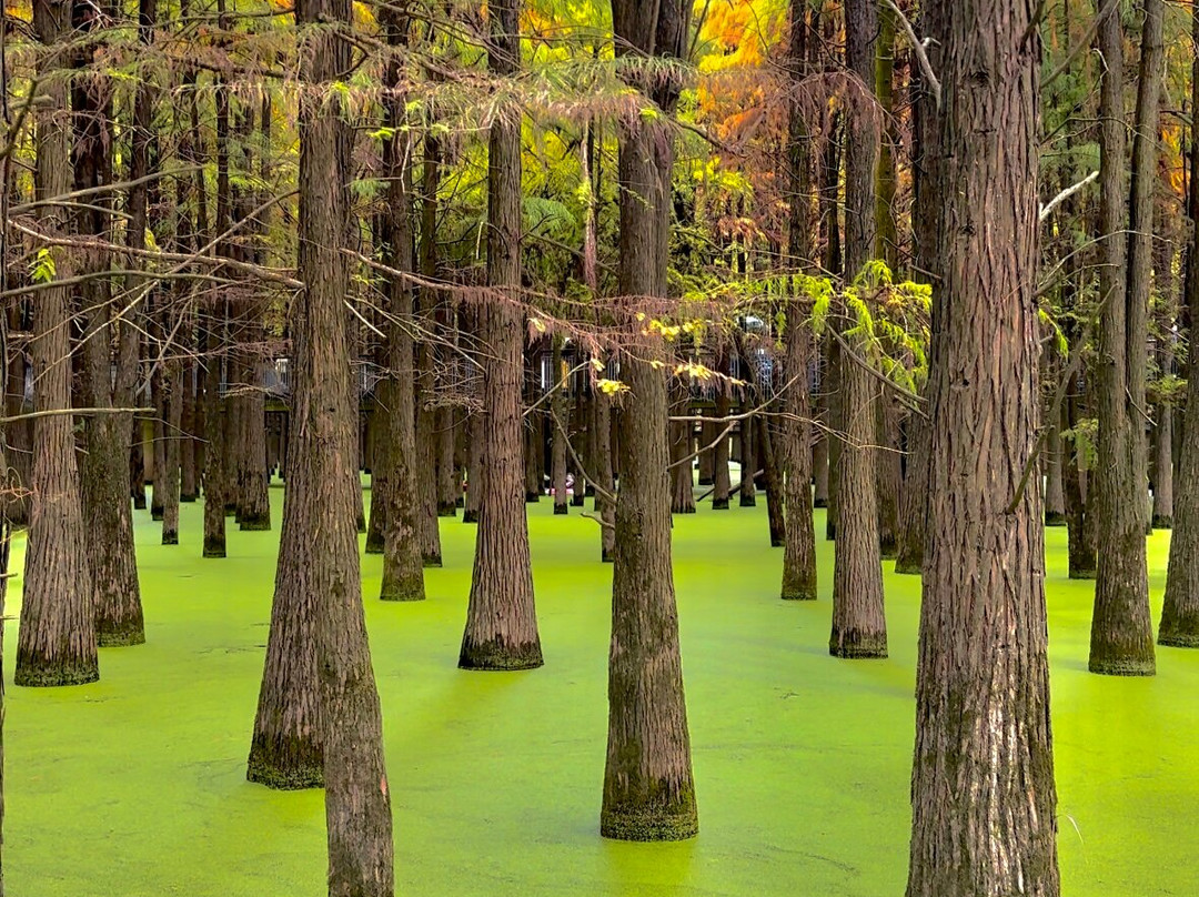 青山湖景点图片