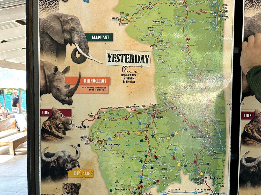 Tshokwane Picnic Site-克鲁格国家公园必去景点