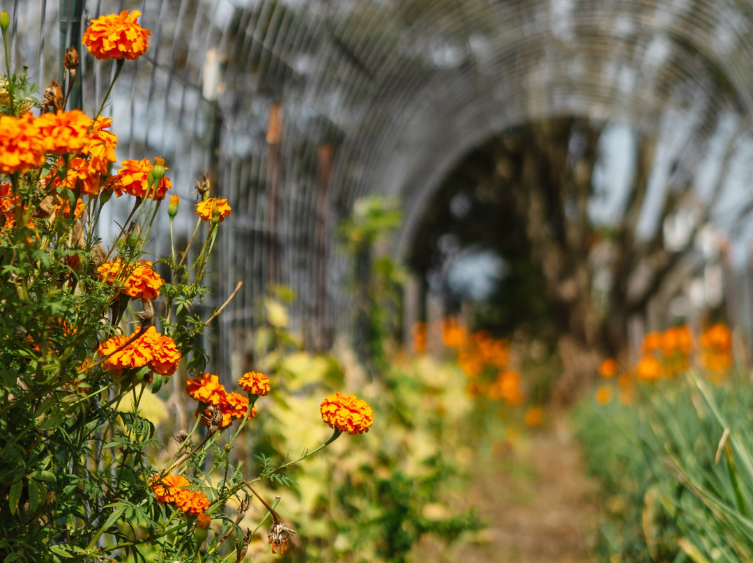 1661 Farm & Garden-新肖勒姆必去景点
