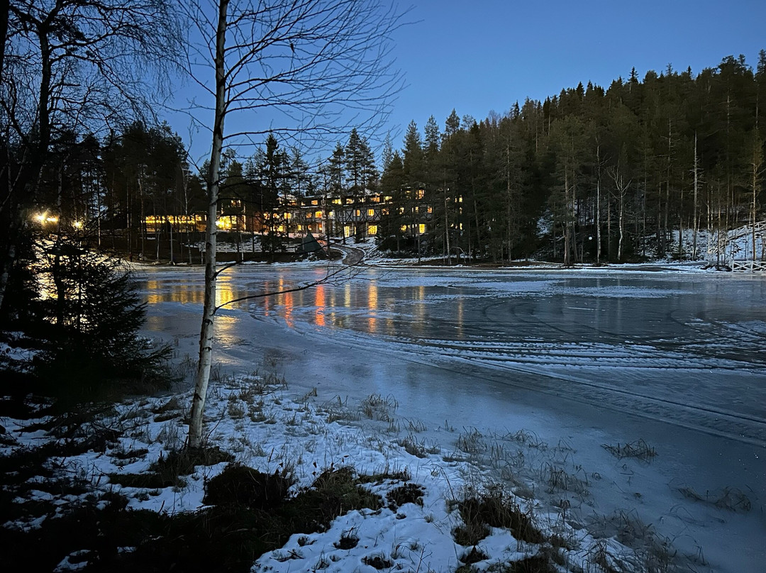 拉普兰熊之家酒店主图