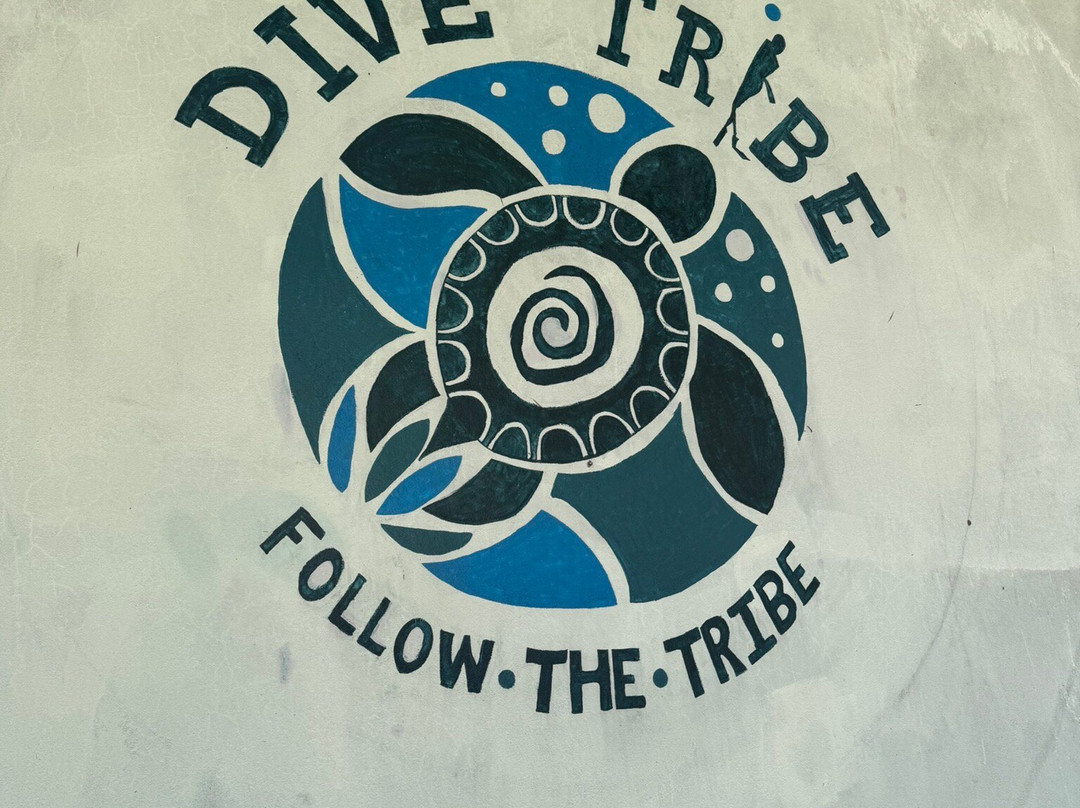 Dive Tribe景点图片