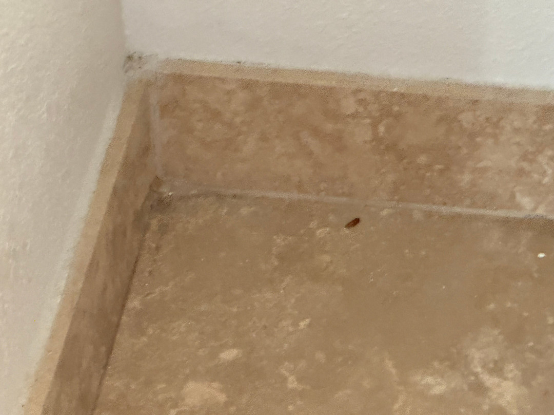 Hampton Inn & Suites Stuart-North主图