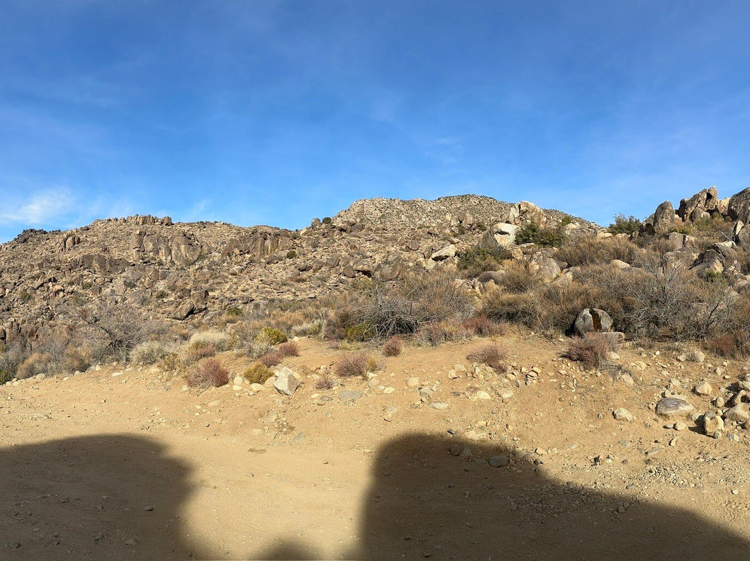 Roy Purcell's murals-Chloride必去景点