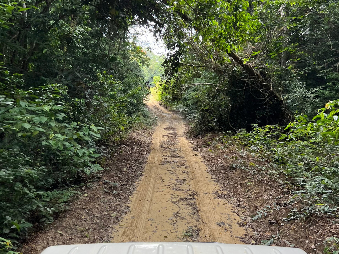 Gabon Highlights Tourism-Lope Wildlife Reserve必去景点
