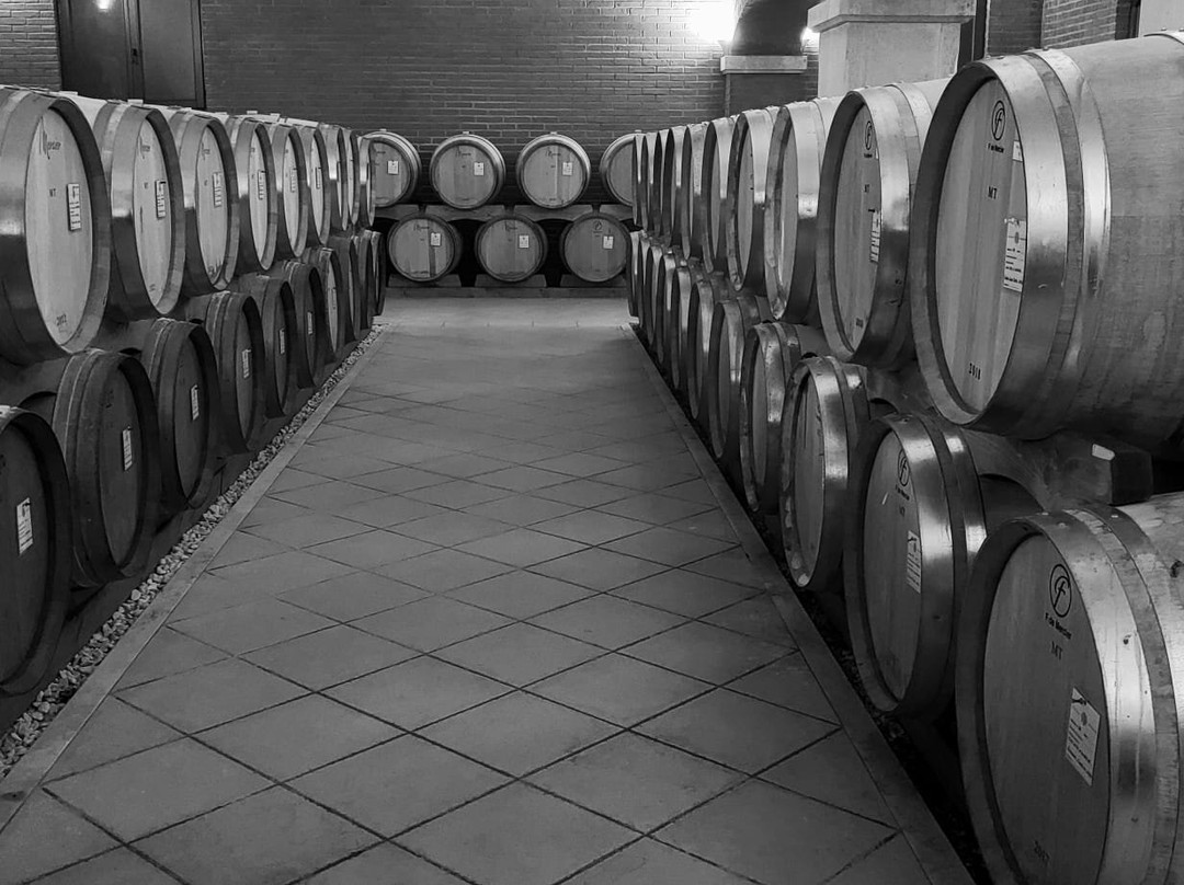 Azienda Agricola Valentina Cubi景点图片