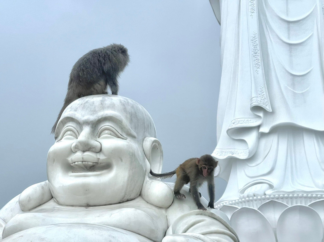 Monkey Mountain-利他必去景点