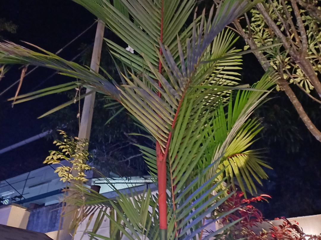 Le Villagio Resort & Domes主图