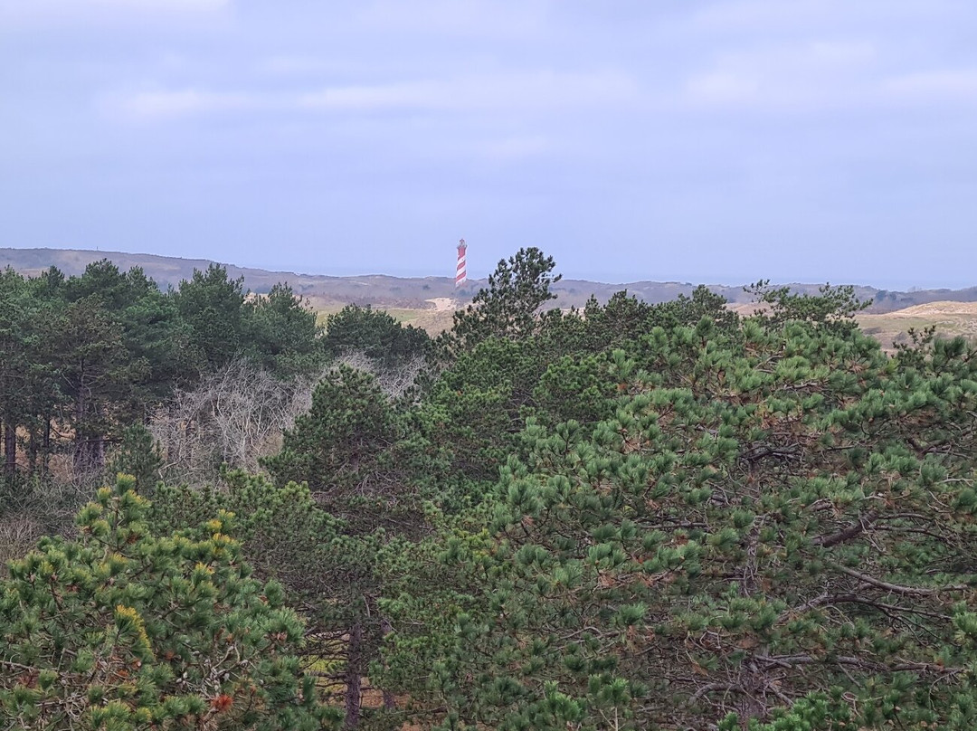 Boswachterij Westerschouwen-Westenschouwen必去景点