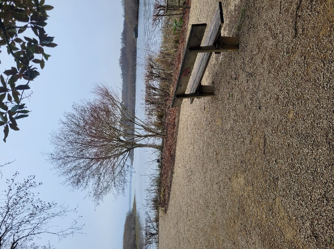 Promenade Fleurie景点图片