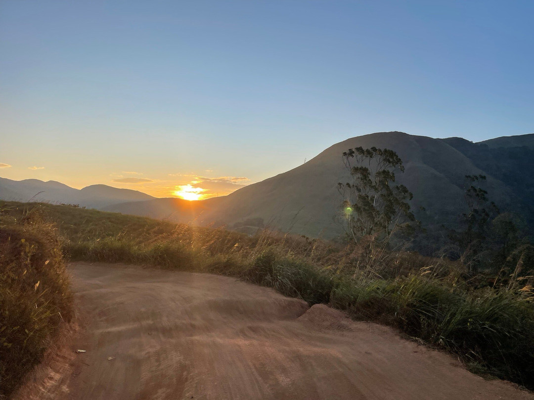 Periyar Tiger Reserve forest景点图片