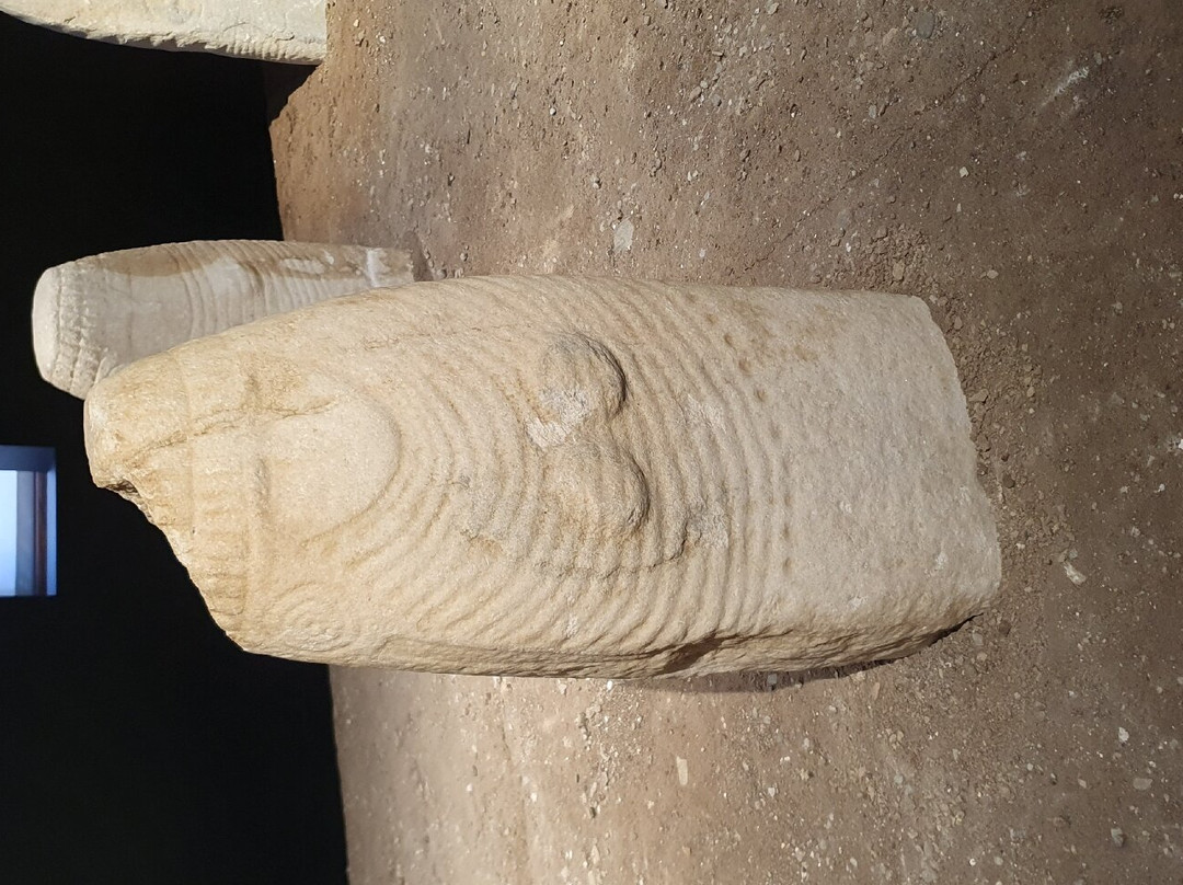 MAG Museo Alto Garda景点图片