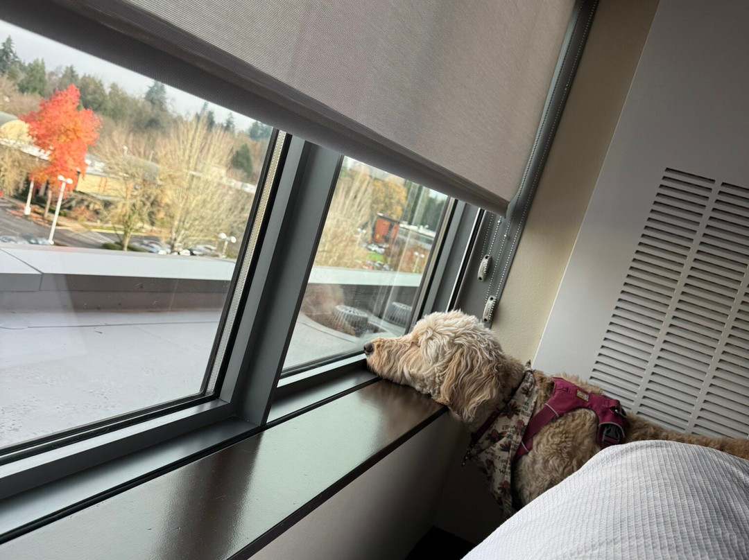 Hyatt Place Eugene / Oakway Center主图