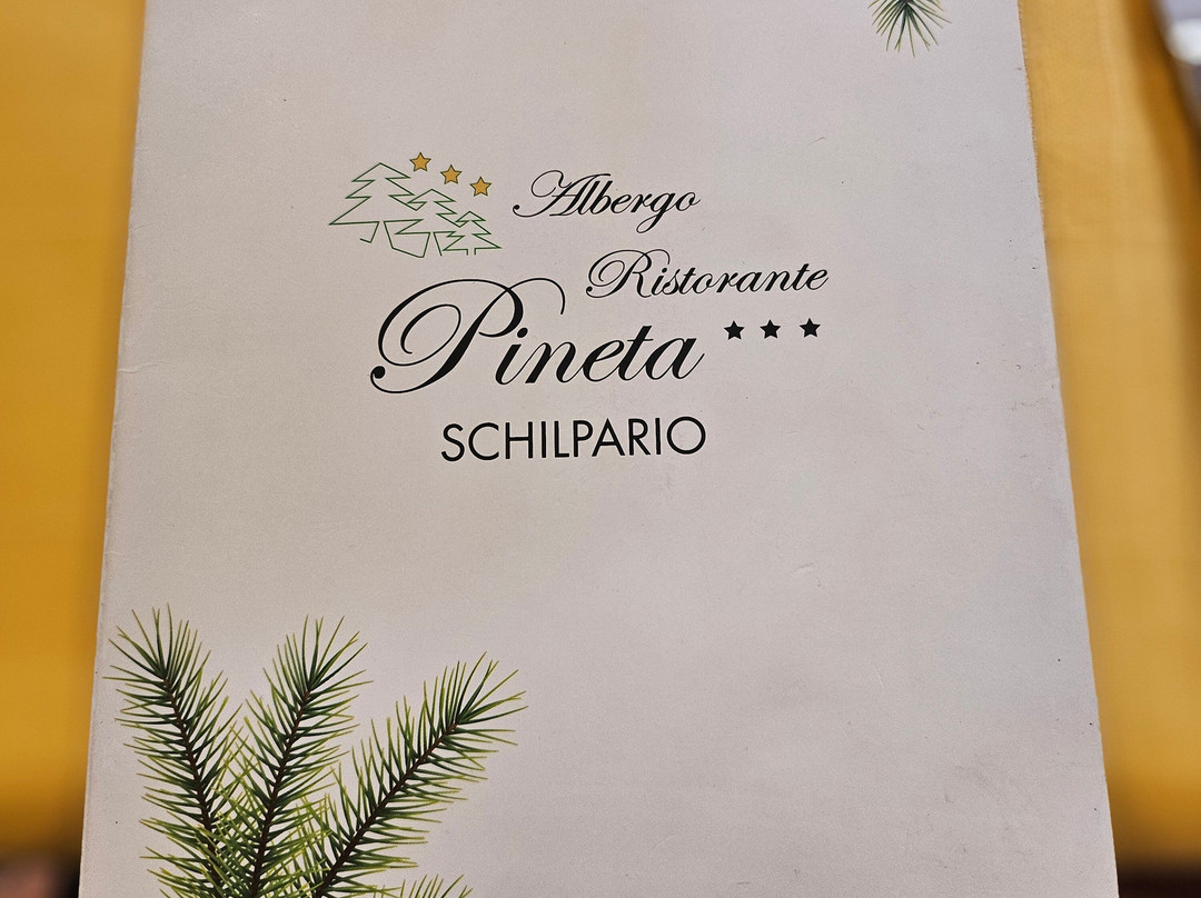 Albergo Pineta主图