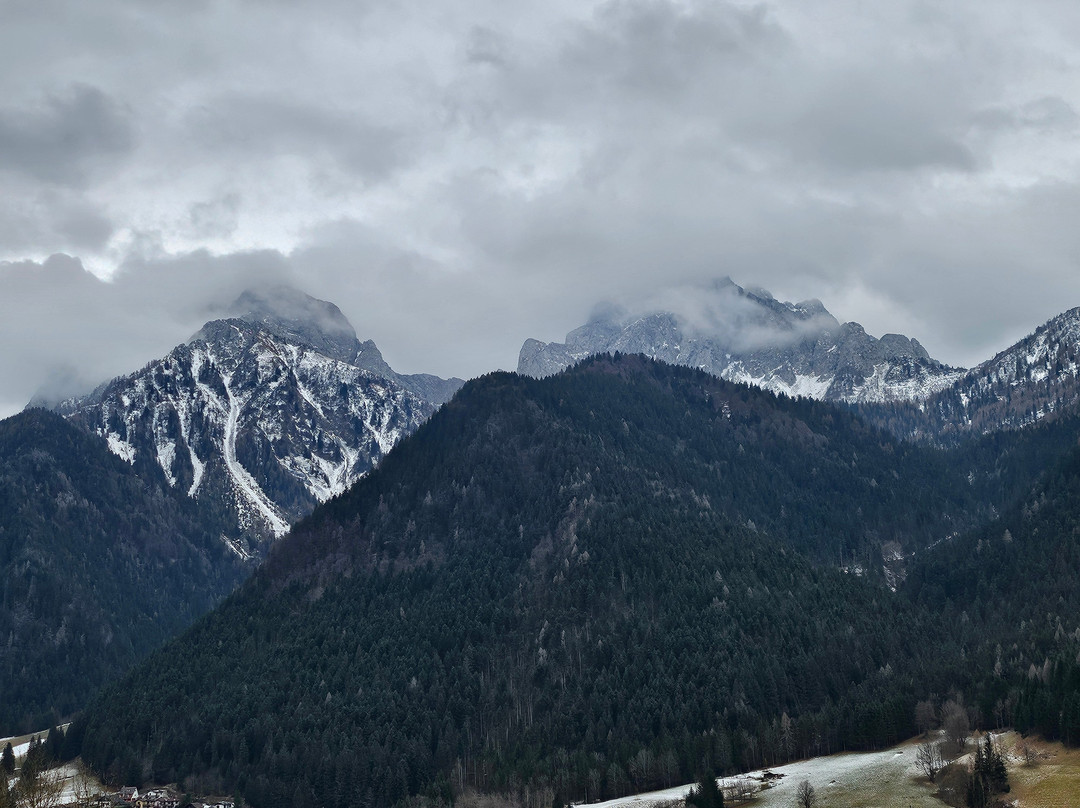 Albergo Pineta主图