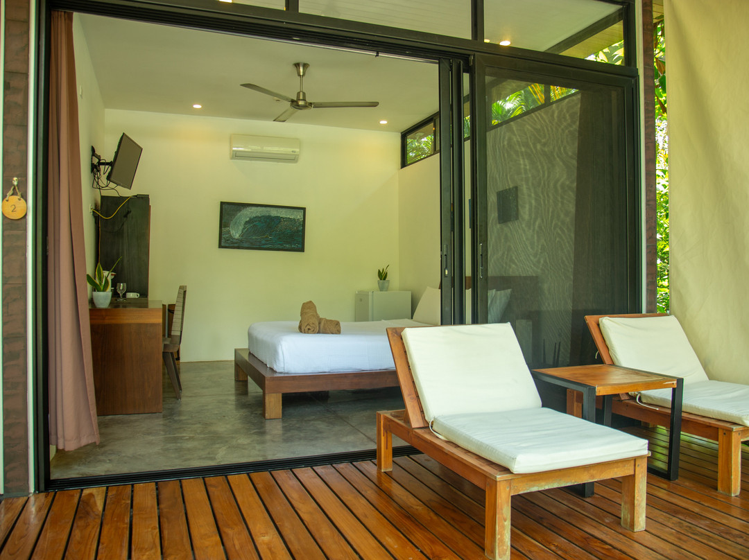 The White Palms of Nosara