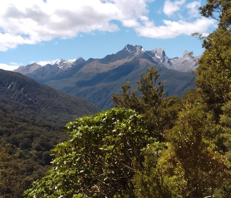 Milford Sound景点图片
