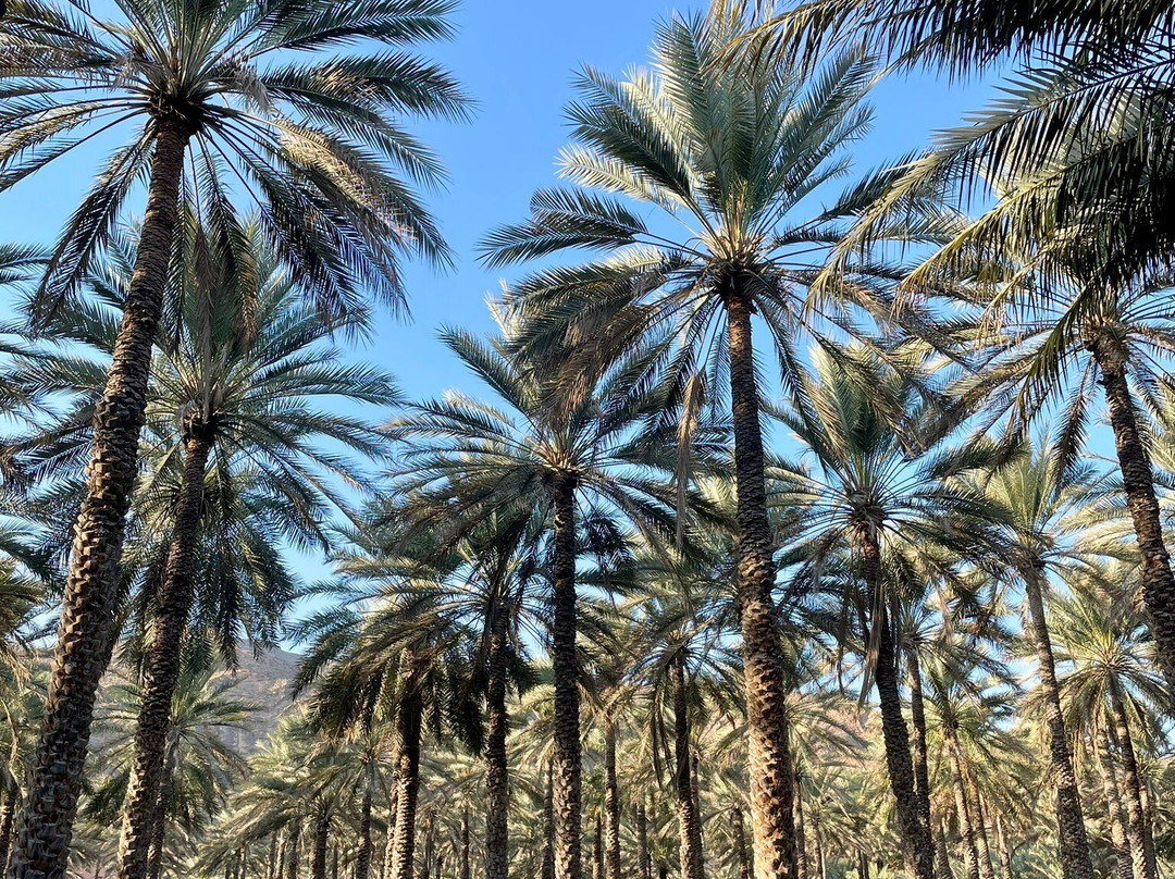 Birkat Al Mouz Ruins-Birkat Al Mouz必去景点