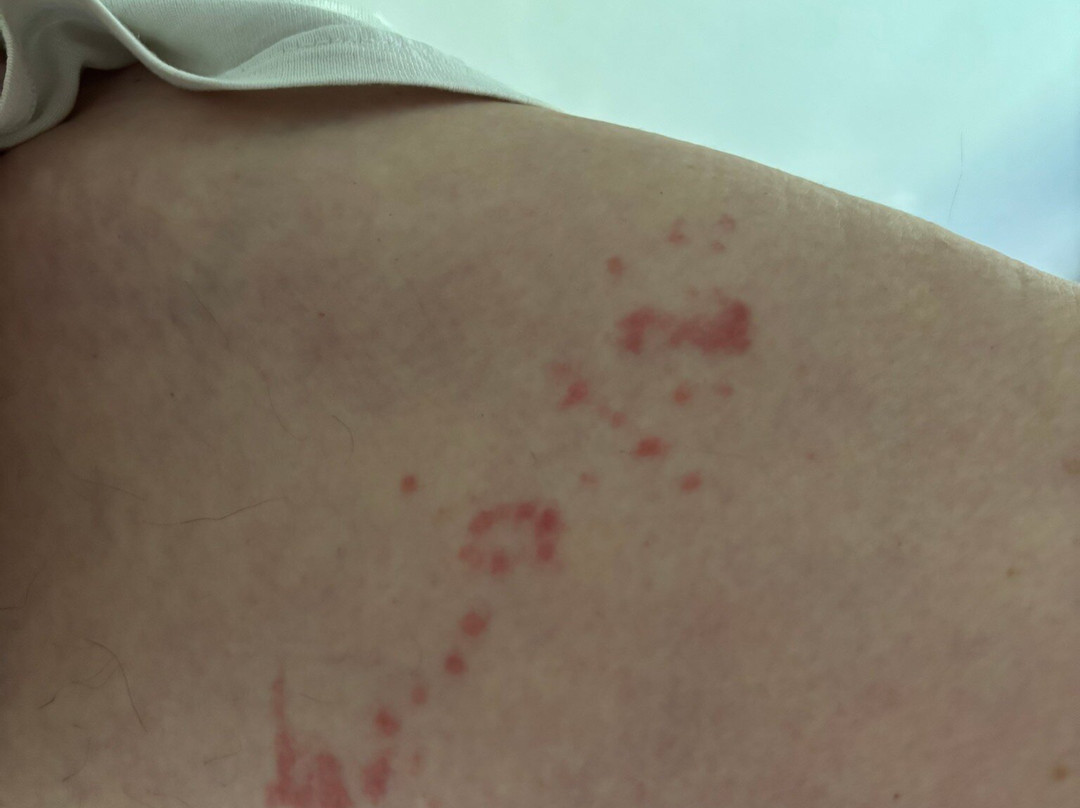 Tru by Hilton Greenville Woodruff Road主图