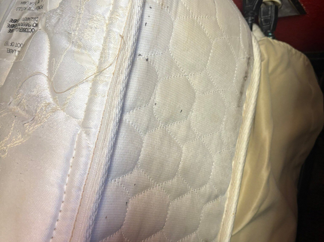 Country Hearth Inn & Suites Kenton主图