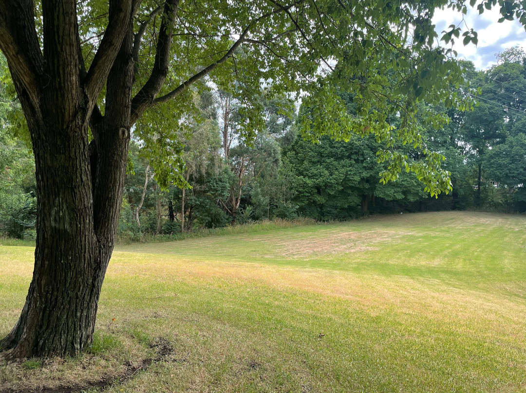 Bert Thompson Reserve