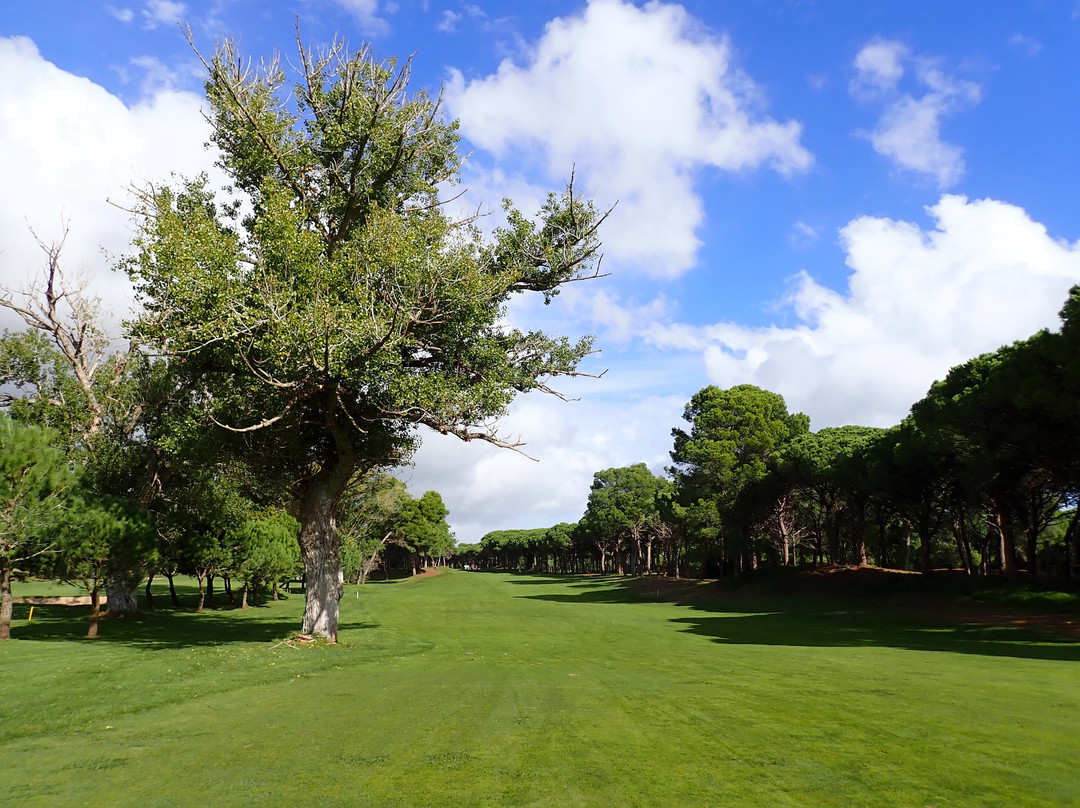 Golf Platja De Pals景点图片
