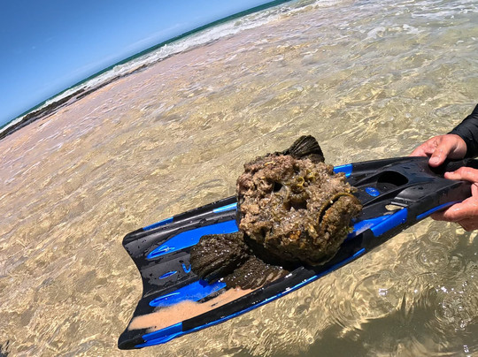 Shark Bay 4WD-德纳姆必去景点