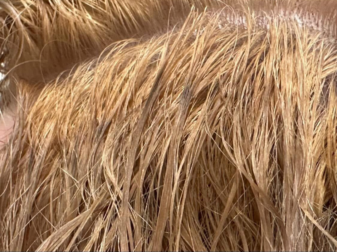 Bergamos Spa Retreat