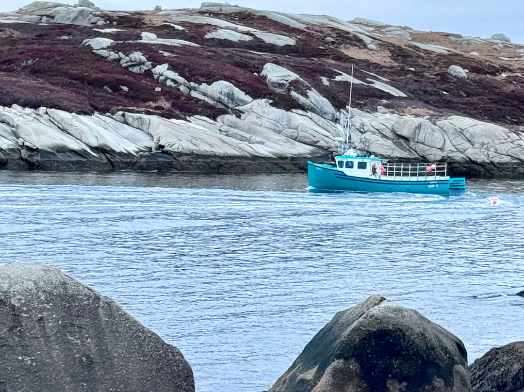 Polly's Cove Hiking Trail景点图片