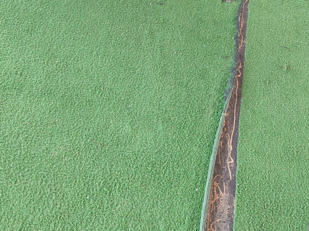 Pousada Laguna Hotel主图