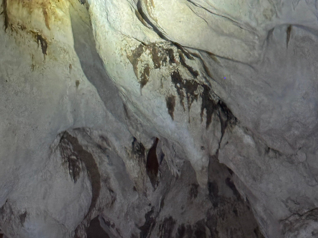 Hamilton's Cave Tours-长岛必去景点