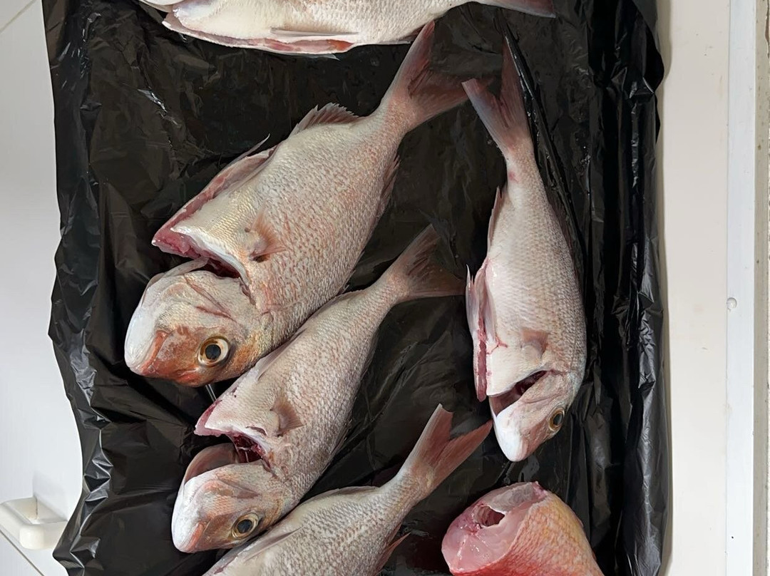 Batemans Bay Fishing景点图片