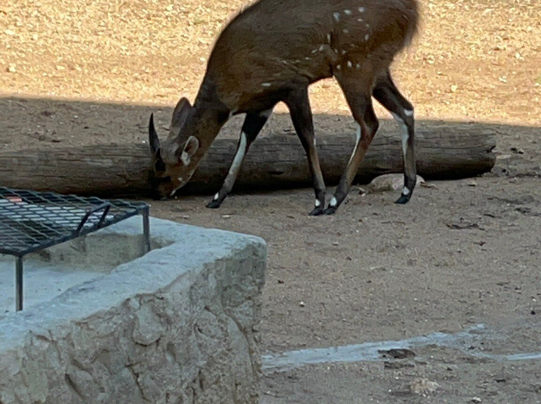 Khumbula Iafrica主图