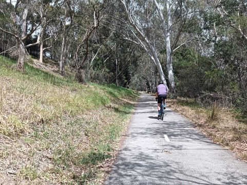 Livelo Bike Rental-墨尔本必去景点