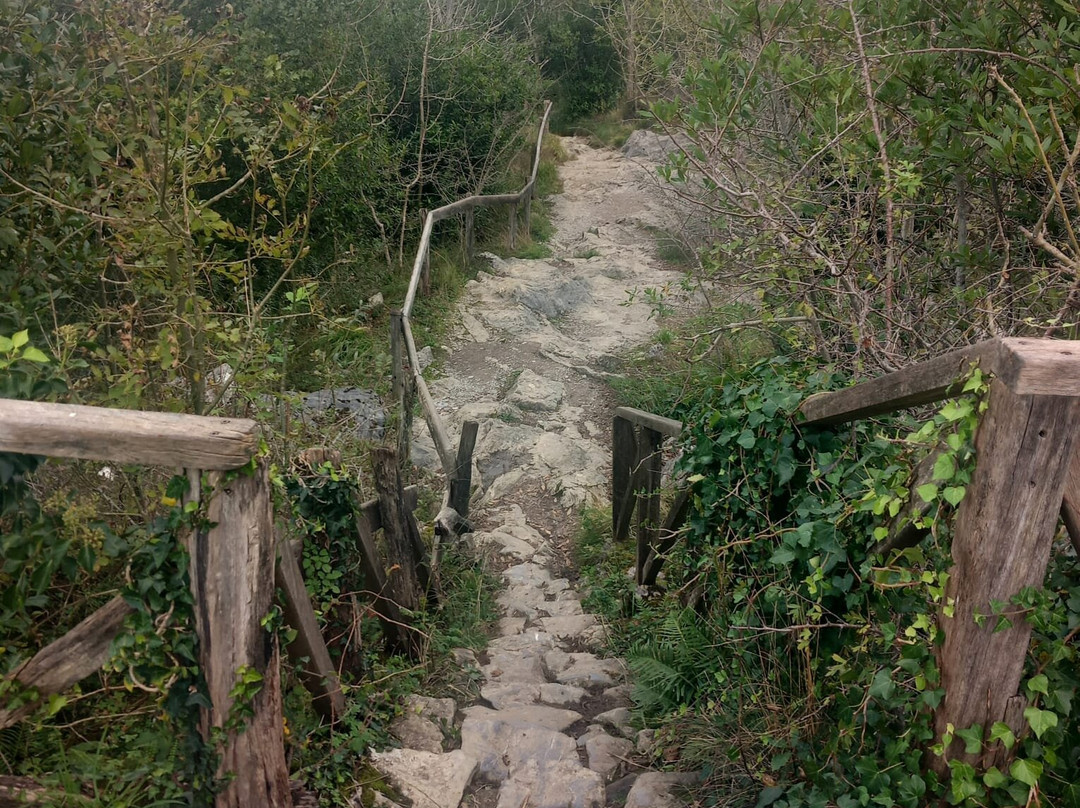 Cuevas de Zugarramurdi-Zugarramurdi必去景点