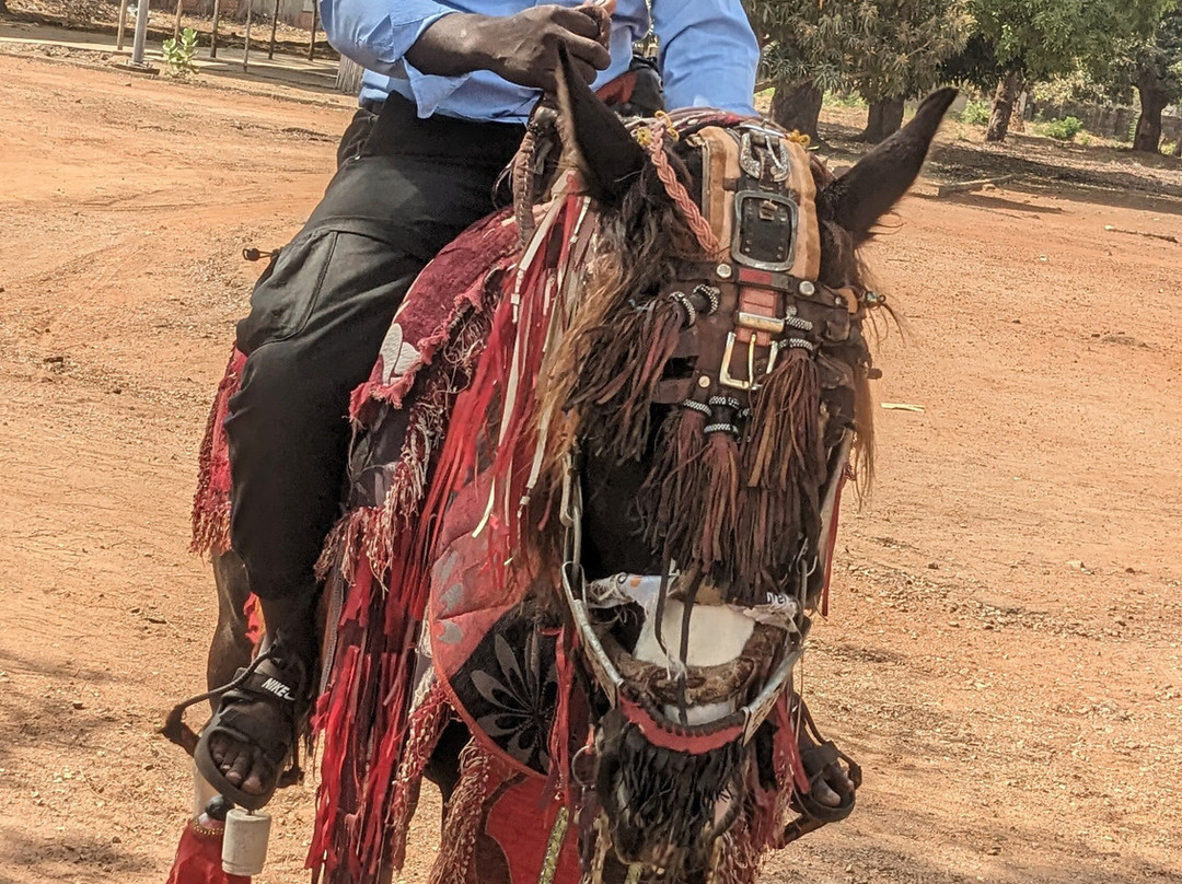 WestA Tour-Ouidah必去景点