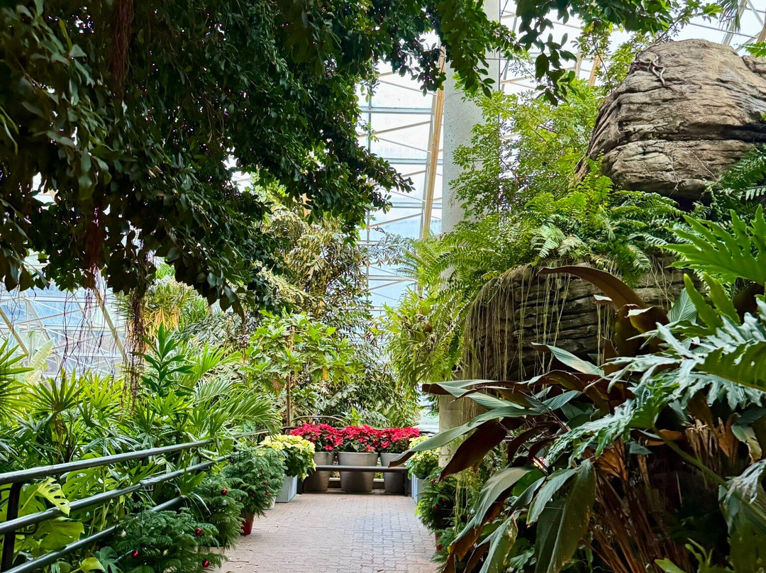 Foellinger-Freimann Botanical Conservatory-韦恩堡必去景点