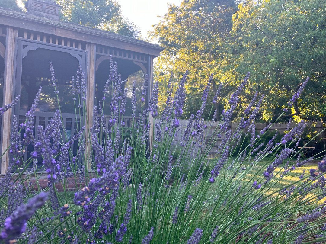 Brewster By The Sea Inn主图