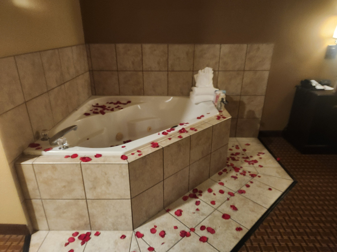 Best Western Plus Vintage Valley Inn主图