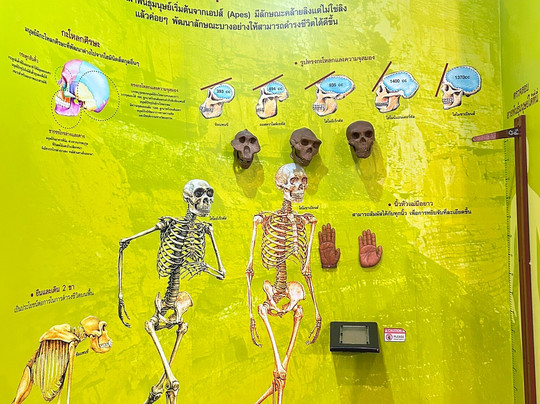 曼谷科学馆和天文馆-曼谷必去景点