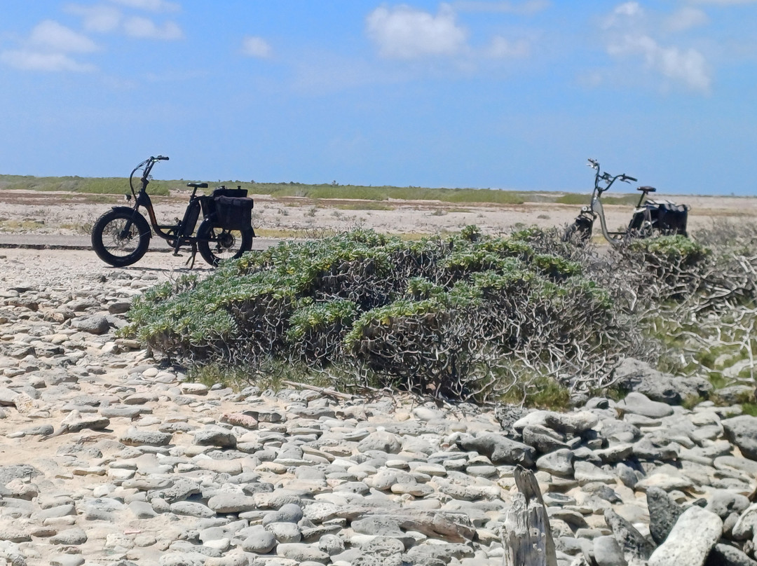 Scooters Bonaire-Kralendijk必去景点