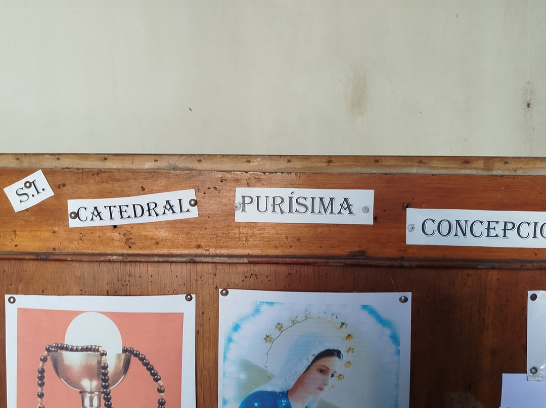 Catedral de la Purísima Concepción景点图片